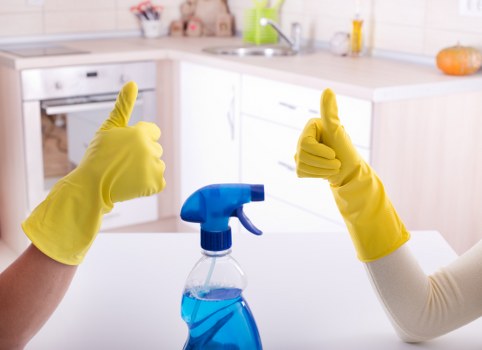 Professional patio cleaning for a Sutton home garden