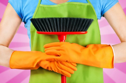 Professional oven cleaning service for a Sutton home kitchen