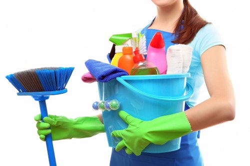 Professional stain removal for carpets and upholstery in Sutton homes
