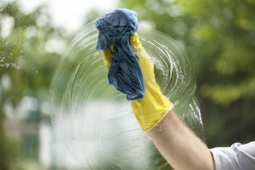 Local domestic cleaning appointment in Sutton