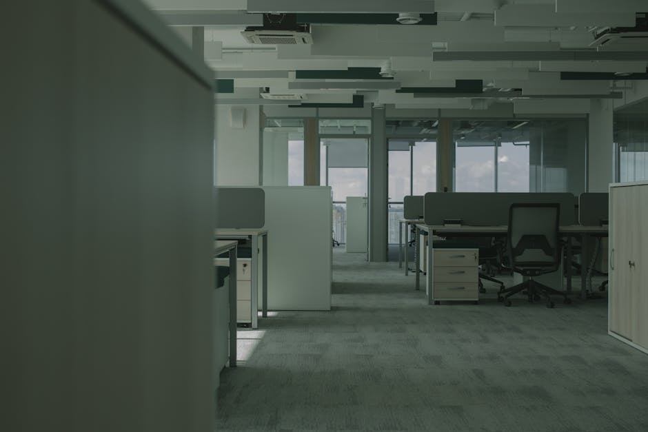 A spacious, modern office interior with multiple workstations separated by white partition panels. The desks are made of light-colored wood or laminate and are equipped with black office chairs on wheels. Natural light streams in through large floor-to-ceiling windows at the far end of the room, illuminating the neutral-toned carpeted flooring. The ceiling features a grid of white acoustic tiles and recessed lighting, contributing to a clean and professional atmosphere. The surfaces appear tidy and well-maintained, reflecting recent deep cleaning and surface sanitisation efforts by Sutton Cleaners to ensure hygiene in a commercial environment.
